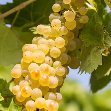 Farm stay Quinta Do Rol *