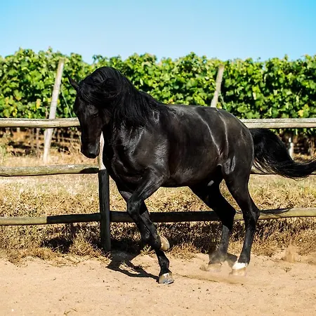 Quinta Do Rol Farm stay *