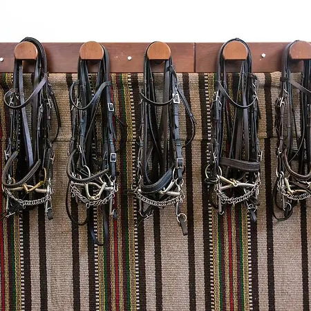 Quinta Do Rol Miragaia